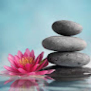 Meet your Posher, Kiran